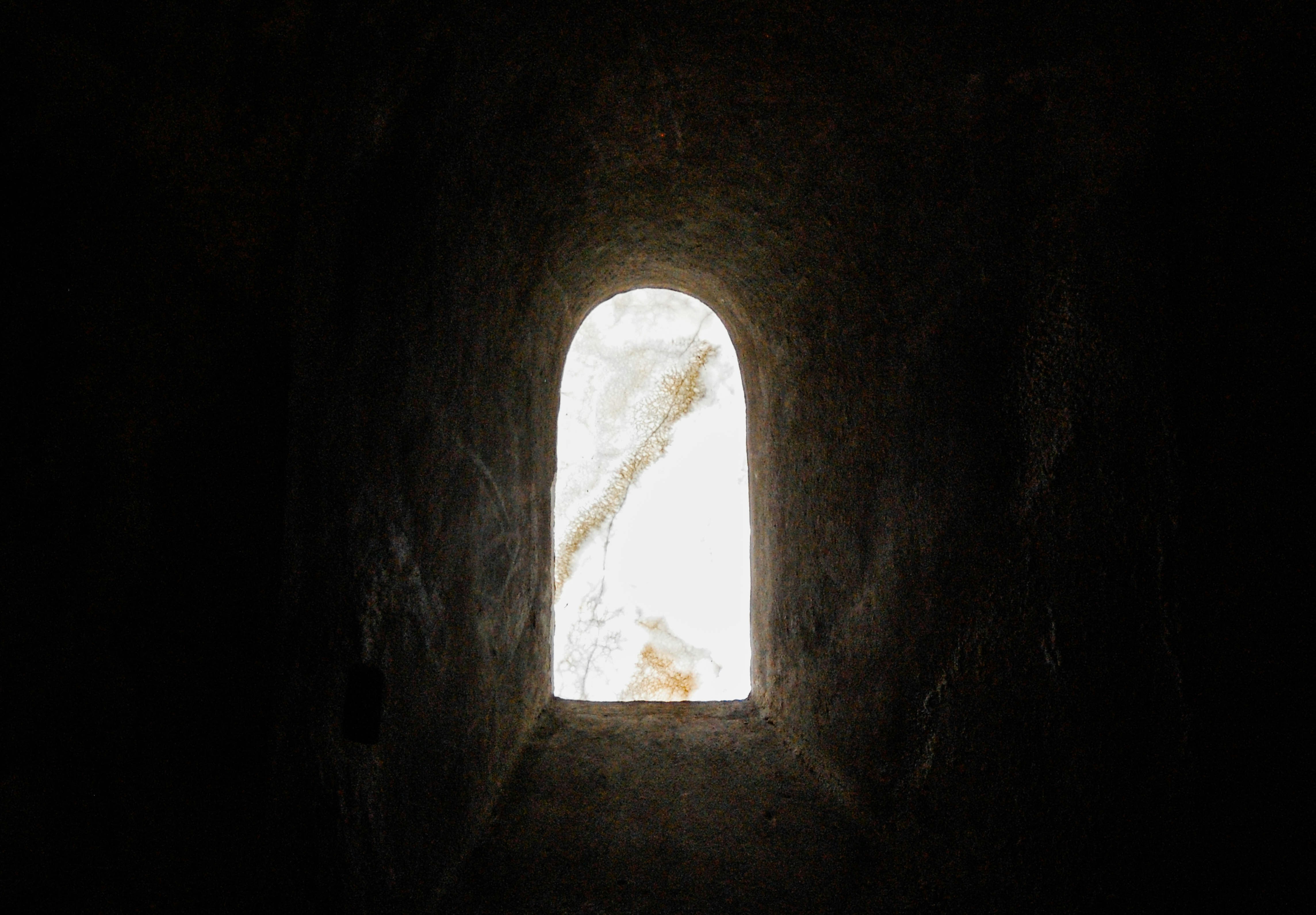 lexi-laginess-zfvr_8hDngc-unsplash