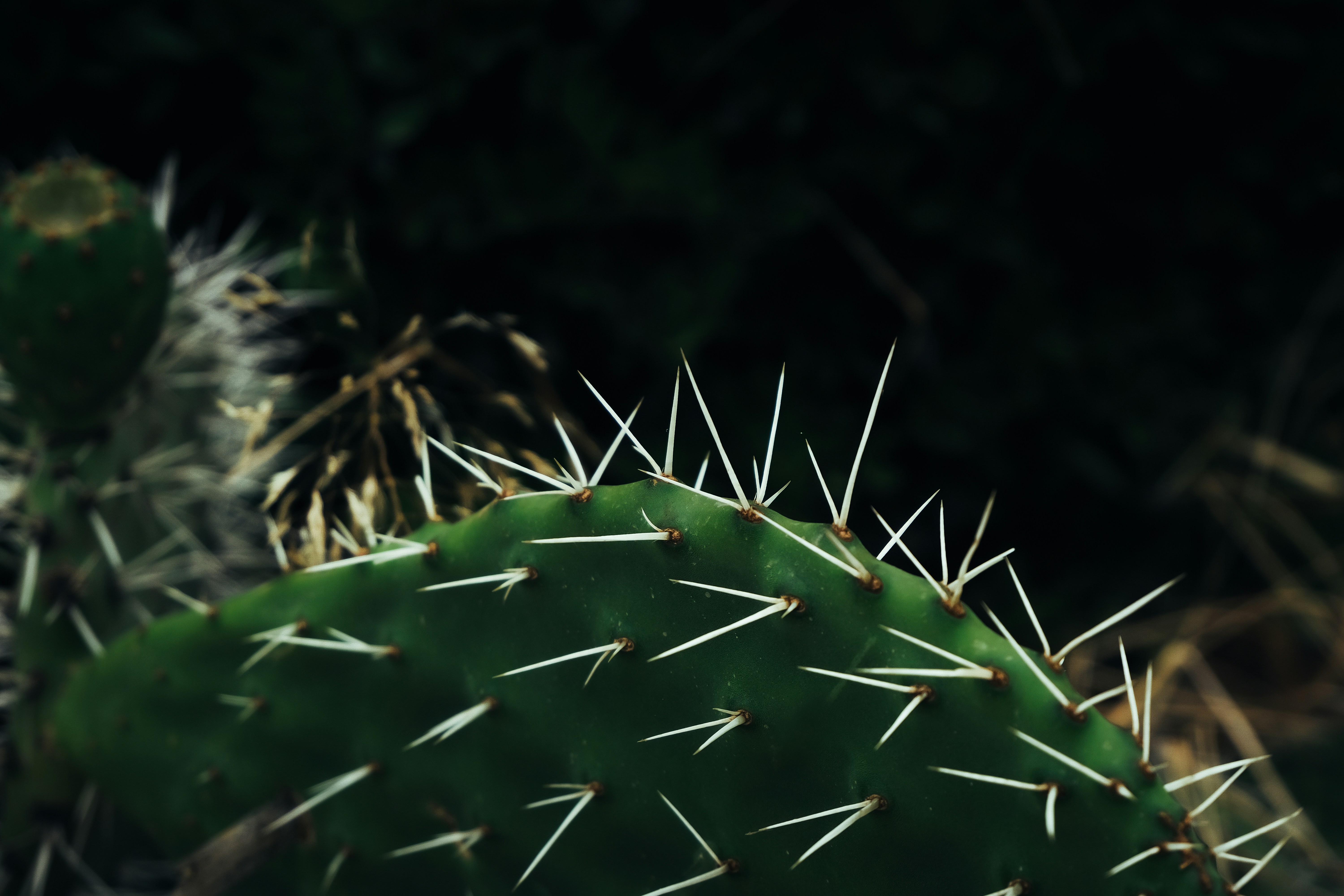 yves-cedric-schulze-d8vqxpj7oVQ-unsplash